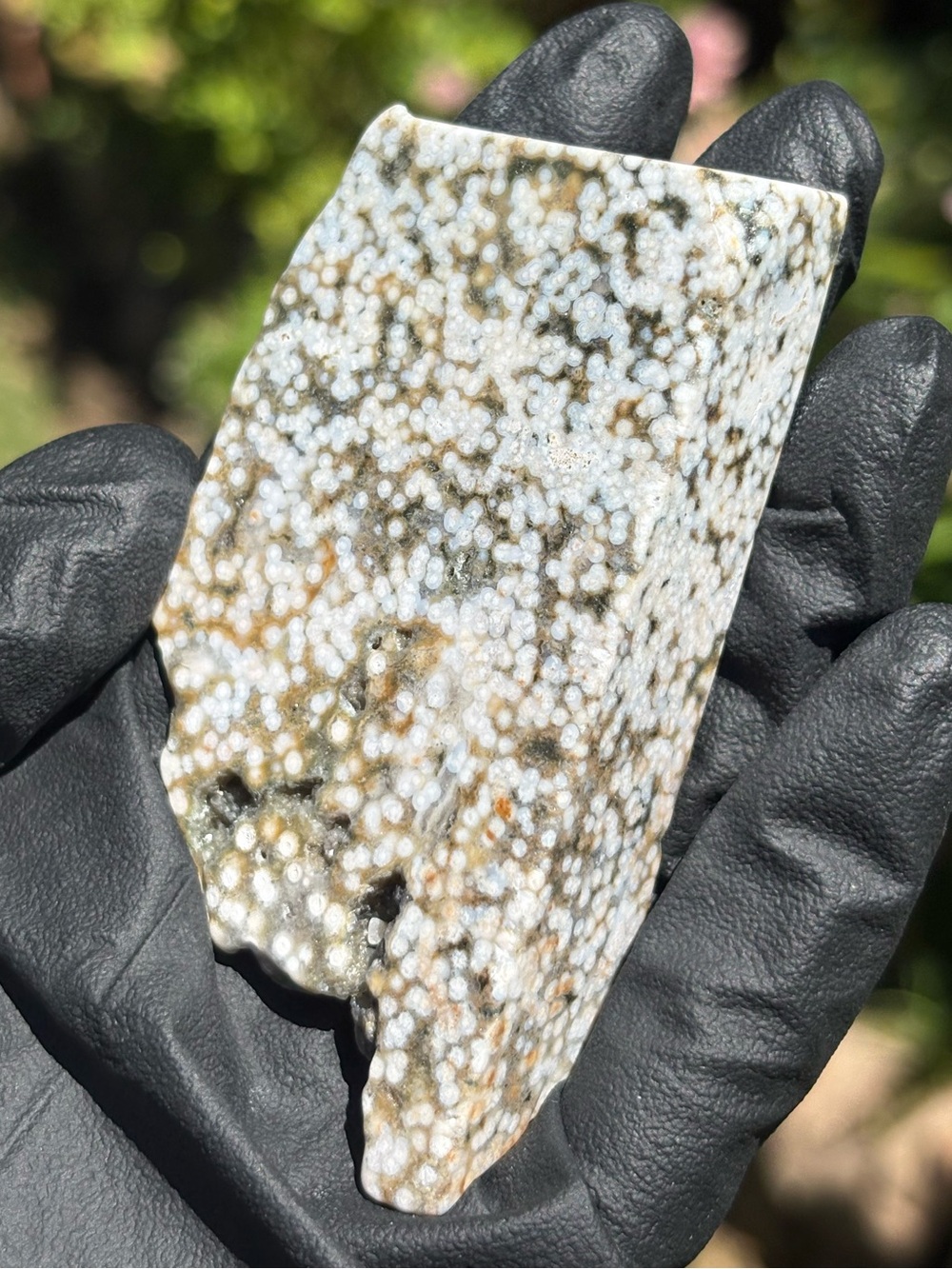 Ocean Jasper Crystal Slab - Polished Sea Jasper - Orbicular Jasper